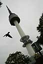 Seoul Tower