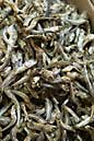 Anchovies