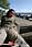 204 0410 crw.jpg