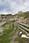 205 0524 crw.jpg