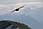 206 0604 crw.jpg