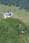 206 0615 crw.jpg