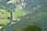 206 0621 crw.jpg