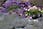 206 0645 crw.jpg