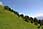 206 0658 crw.jpg