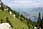 206 0675 crw.jpg