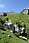 206 0678 crw.jpg