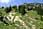 206 0683 crw.jpg