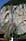 207 0774 crw.jpg