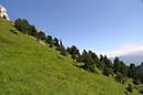 206 0658 crw.jpg