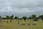 060512 247 4717 crw.jpg