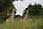 060512 247 4730 crw.jpg