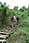 060512 248 4845 crw.jpg
