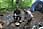 060512 248 4858 crw.jpg