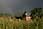 060513 249 4986 crw.jpg