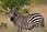 060514 250 5005 crw.jpg