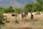 060514 250 5007 crw.jpg
