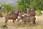 060514 250 5014 crw.jpg