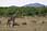 060514 250 5033 crw.jpg
