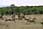 060514 250 5037 crw.jpg