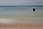 Crw 9010.jpg