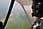 203 0322 crw.jpg