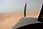 203 0370 crw.jpg